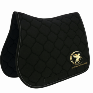 Tapis des Ecuries du Carrous’Aile