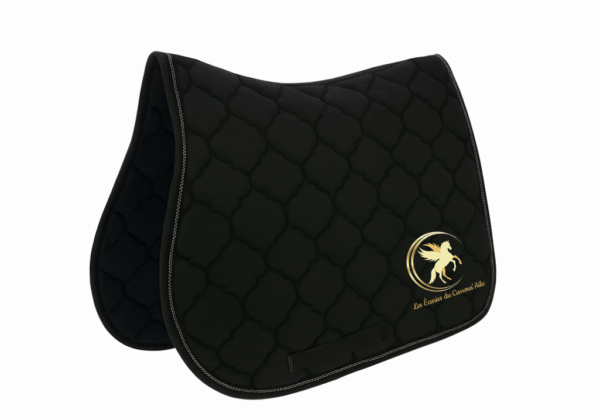 Tapis des Ecuries du Carrous'Aile